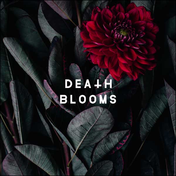 Death Blooms EP cover