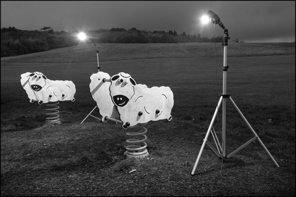 Anthropogenic Investigations image 4, Spring Sheep - by Greig Clifford