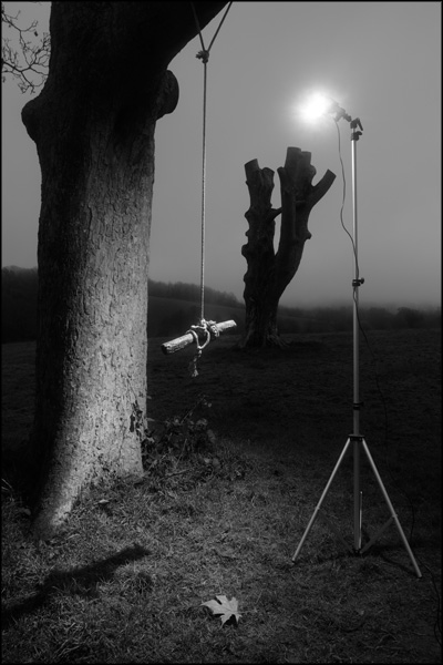 Anthropogenic Investigations image 2, Rope Swing - by Greig Clifford