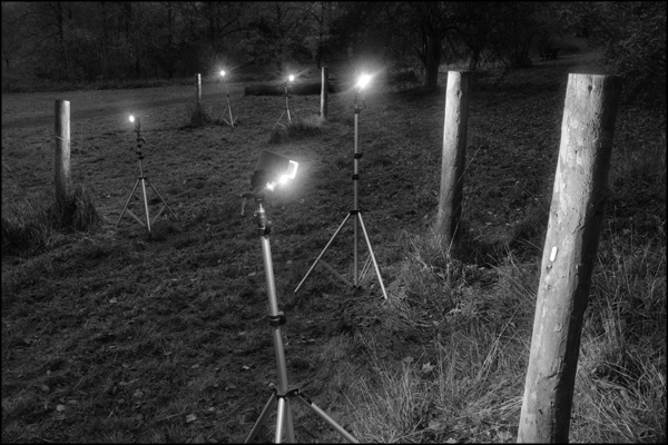 Anthropogenic Investigations image 5, Posts - by Greig Clifford