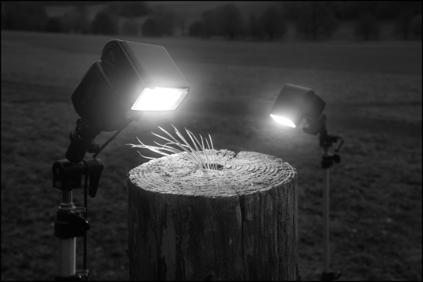 Anthropogenic Investigations image 6, Post - by Greig Clifford