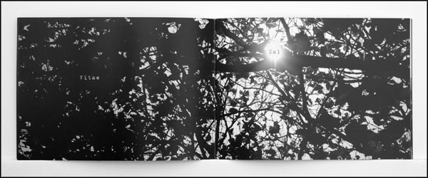 pages 5 and 6.