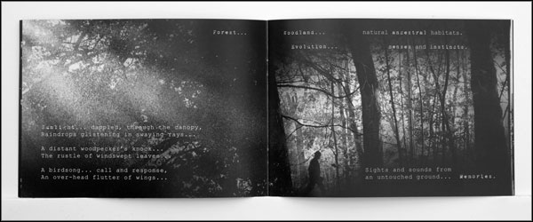 pages 7 and 8