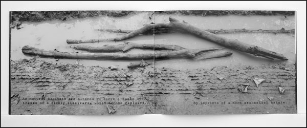 pages 9 and 10.